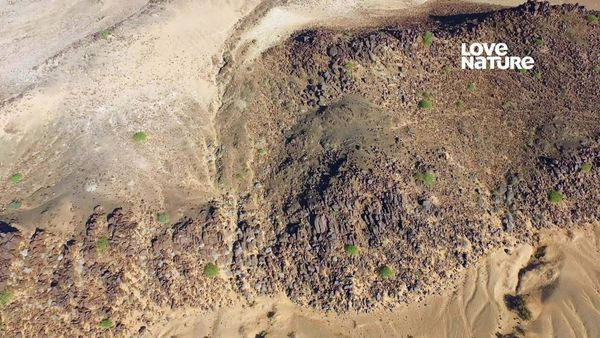 Horizontes Salvajes de África - Los Últimos Gigantes del Desierto