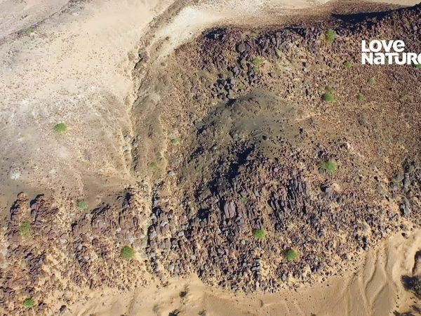 Horizontes Salvajes de África - Los Últimos Gigantes del Desierto