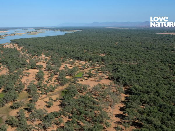 Grandes Parques de Africa - El bajo Zambeze