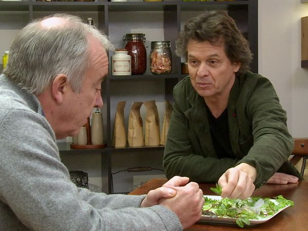 Épicerie Fine - Les jeunes pousses de légumes