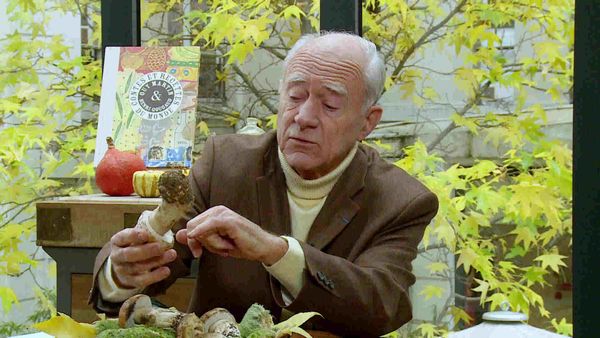 Épicerie Fine - Les champignons forestiers