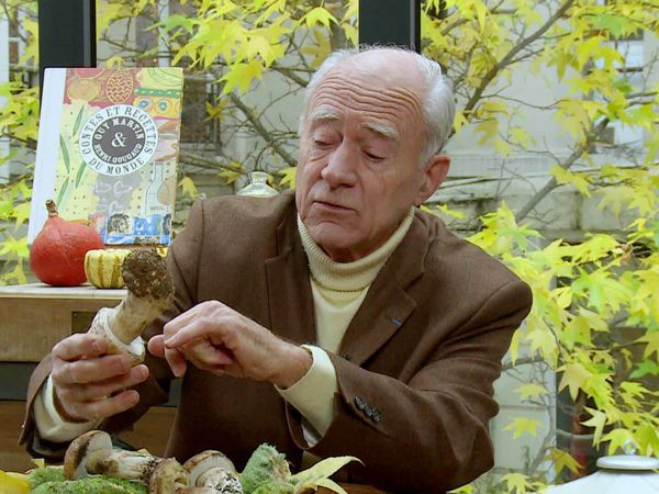 Épicerie Fine - Les champignons forestiers