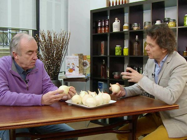 Épicerie Fine - L'oignon doux des Cévennes