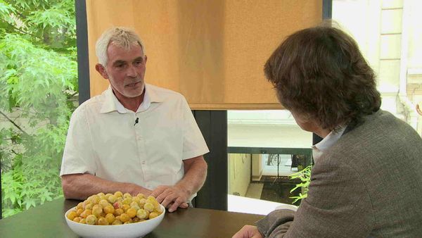 Épicerie Fine - La mirabelle de Lorraine