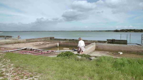 Épicerie Fine - La presqu'île de Rhuys