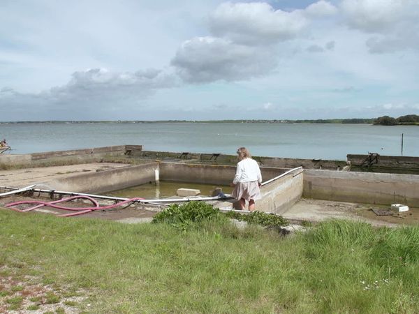 Épicerie Fine - La presqu'île de Rhuys