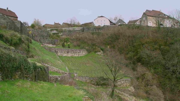 Épicerie Fine - Le vignoble du Jura