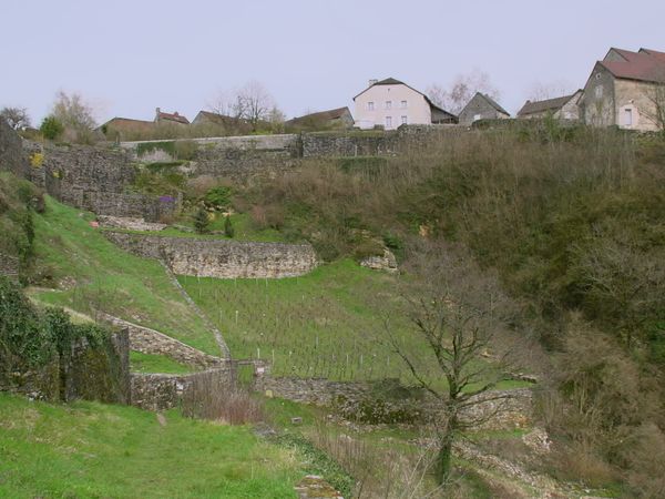Épicerie Fine - Le vignoble du Jura