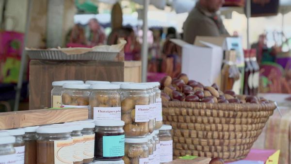 Épicerie Fine - Le Périgord vert