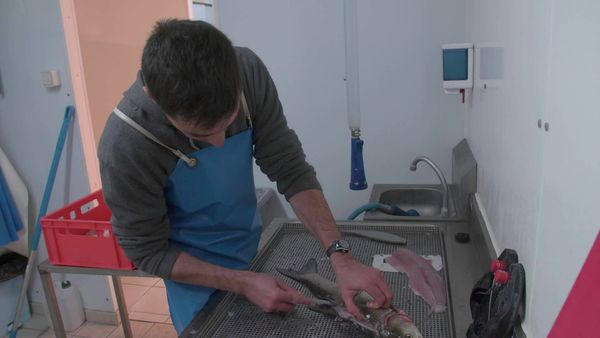 Épicerie Fine - Le Val de Loire orléanais