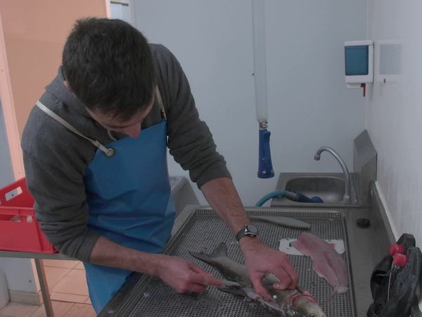 Épicerie Fine - Le Val de Loire orléanais