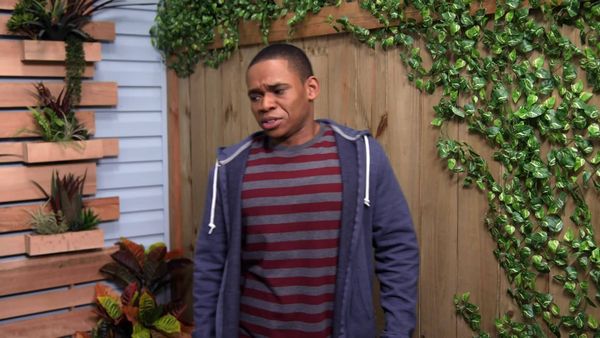 Tyler Perry's House of Payne - A Opinião de um Homem Sábio