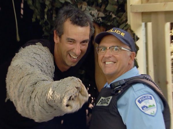 Just for Laughs Gags - Problema del tronco