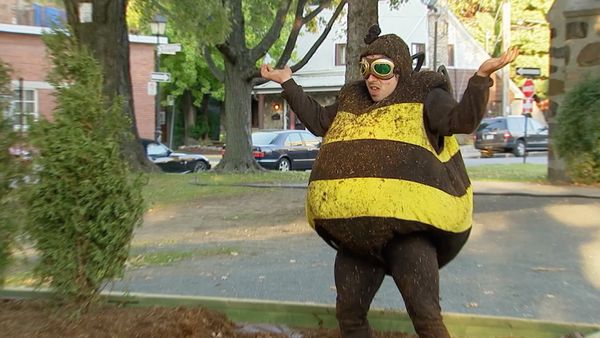 Just for Laughs Gags - La vida de una abeja