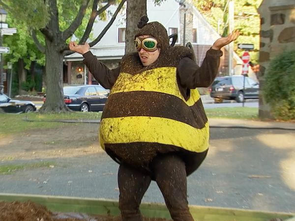 Just for Laughs Gags - La vida de una abeja