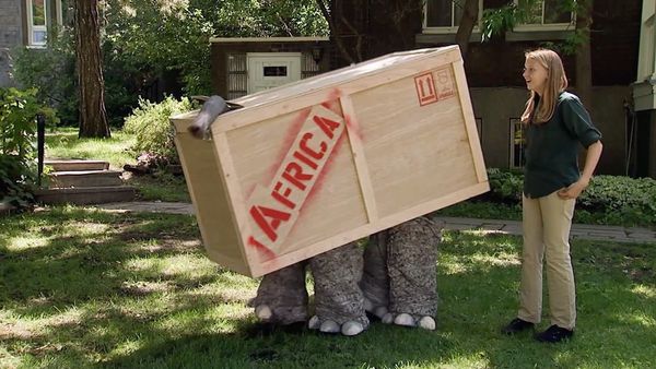 Just Kidding - Elefante en la caja
