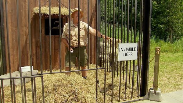 Just for Laughs Gags - Tigre invisible