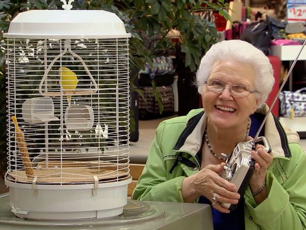 Just for Laughs Gags - La jaula para pájaros