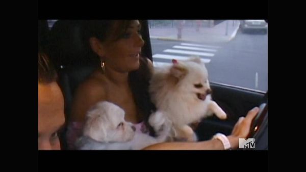 Jersey Shore - Kissing Cousins