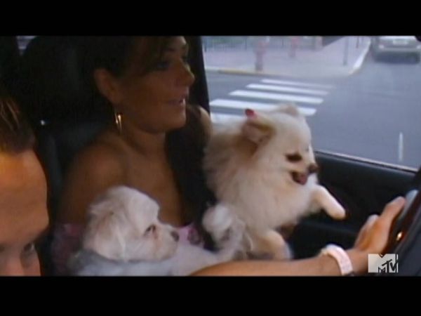 Jersey Shore - Kissing Cousins