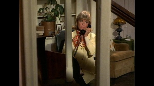 The Doris Day Show - The Tiger