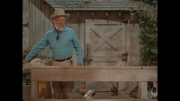 The Doris Day Show - Leroy B. Simpson