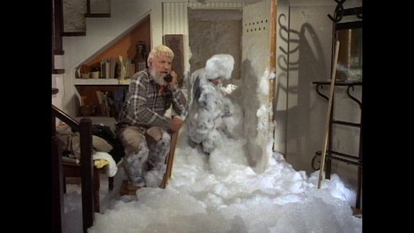 The Doris Day Show - The Buddy