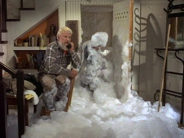 The Doris Day Show - The Buddy