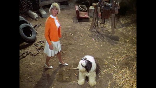 The Doris Day Show - The Black Eye