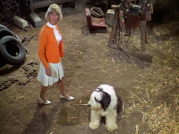 The Doris Day Show - The Black Eye