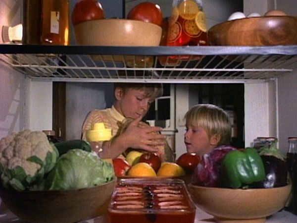 The Doris Day Show - Let Them out of the Nest