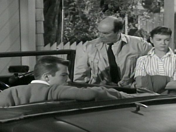 The Donna Reed Show - The Busy Body