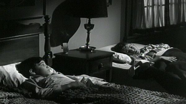 The Donna Reed Show - Nothing but the Truth