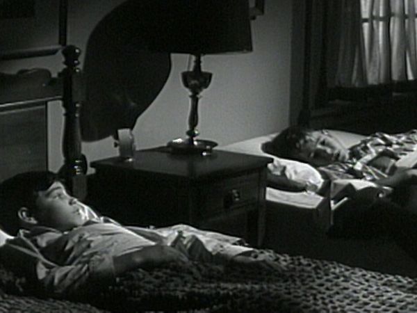 The Donna Reed Show - Nothing but the Truth