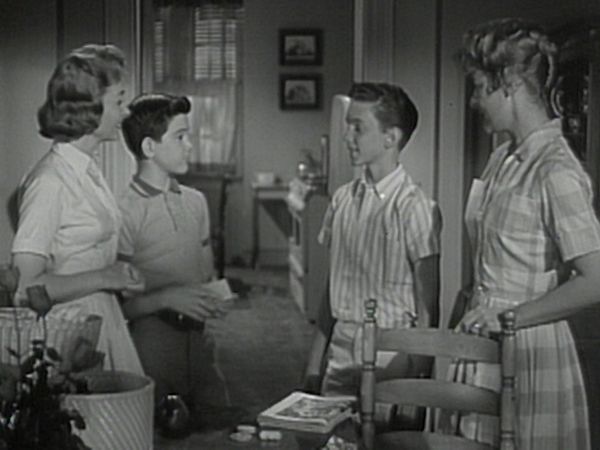 The Donna Reed Show - A Friend Indeed