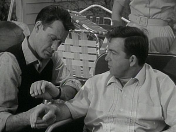 The Donna Reed Show - The Neighborly Gesture