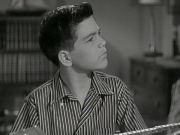 The Donna Reed Show - Going Steady