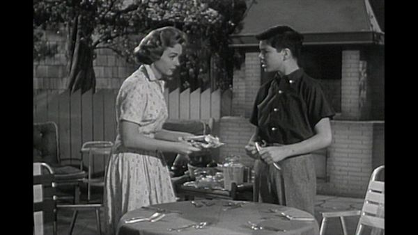 The Donna Reed Show - The Editorial