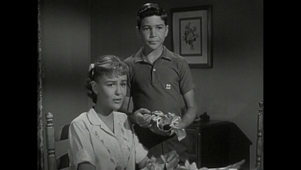 The Donna Reed Show - The Punishment