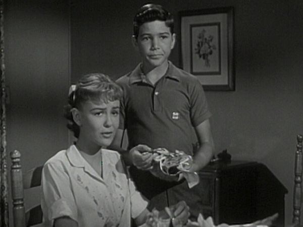 The Donna Reed Show - The Punishment