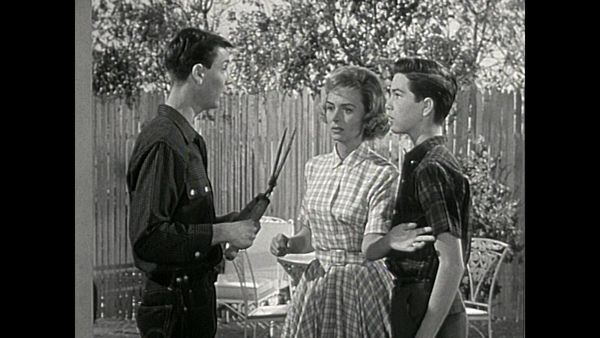 The Donna Reed Show - Let's Look at Love