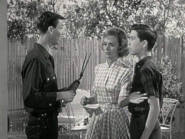 The Donna Reed Show - Let's Look at Love