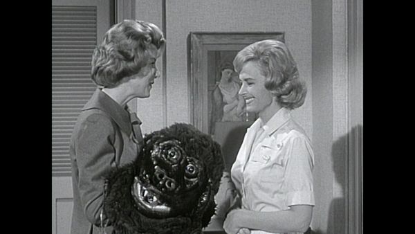 The Donna Reed Show - Donna's Helping Hand