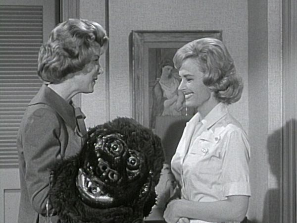 The Donna Reed Show - Donna's Helping Hand