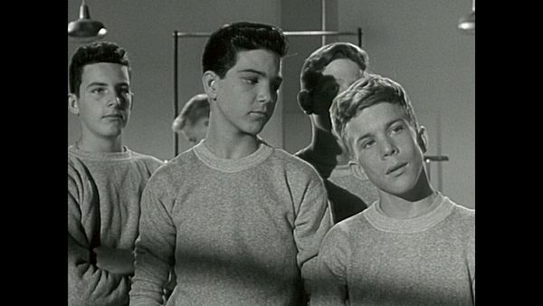 The Donna Reed Show - Jeff, the Treasurer