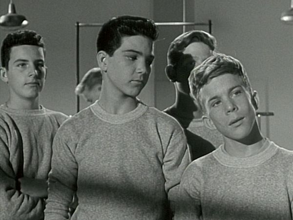 The Donna Reed Show - Jeff, the Treasurer