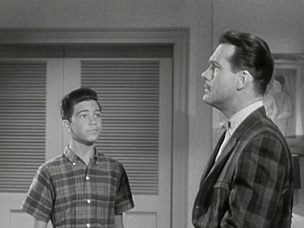 The Donna Reed Show - The Mustache