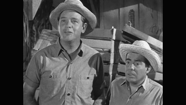 The Real McCoys - How're You Gonna Keep 'Em Down on the Farm?