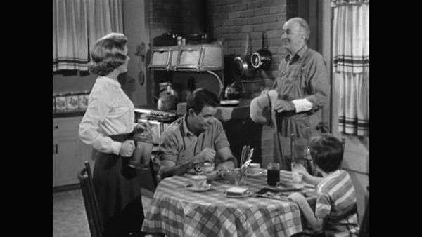 The Real McCoys - The Other Side of the Fence
