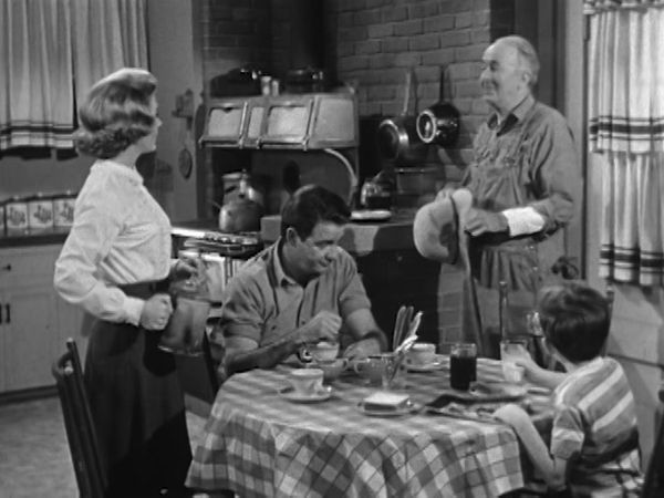 The Real McCoys - The Other Side of the Fence
